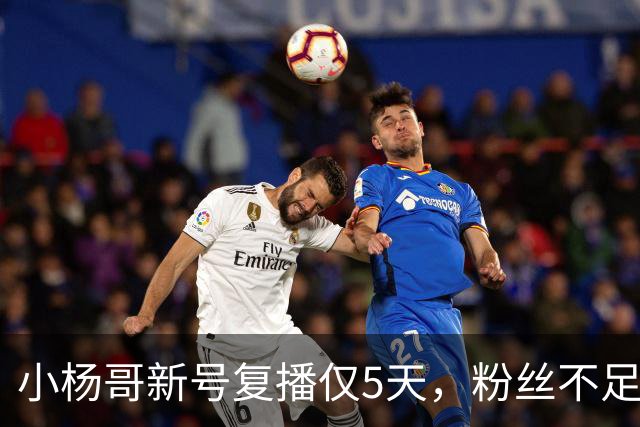 小杨哥新号复播仅5天，粉丝不足10万，直播间观看人数不到2000
